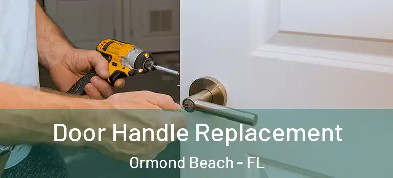  Door Handle Replacement Ormond Beach - FL