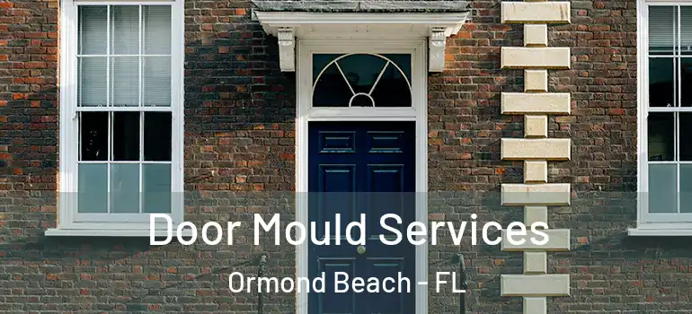  Door Mould Services Ormond Beach - FL