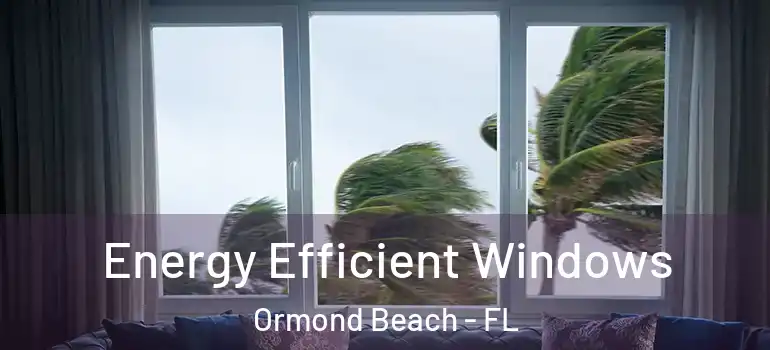  Energy Efficient Windows Ormond Beach - FL