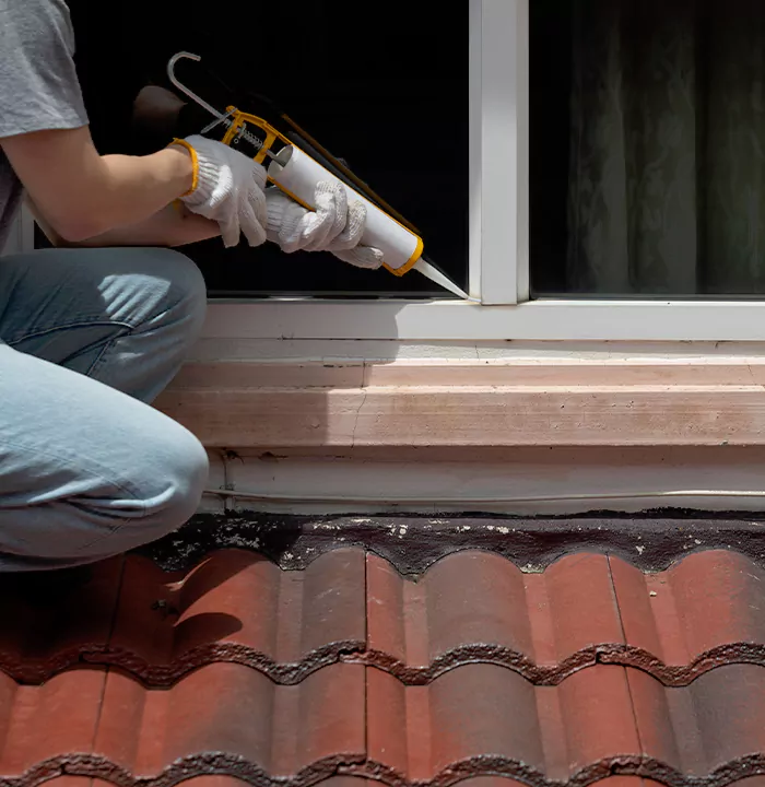 Roof Window Services in Ormond Beach, Florida