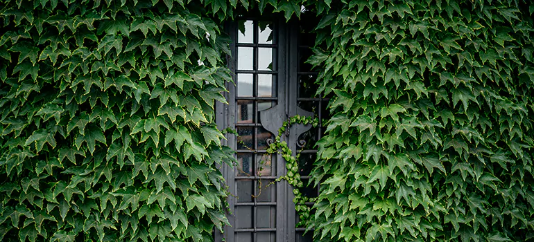 Garden Gate Repair in Ormond Beach, FL