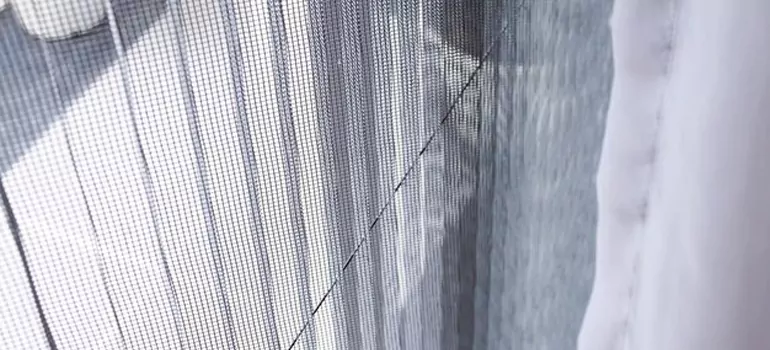Fixing Screen Window Mesh in Ormond Beach, FL