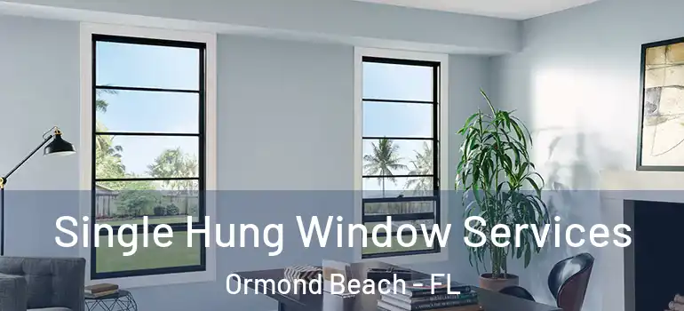  Single Hung Window Services Ormond Beach - FL
