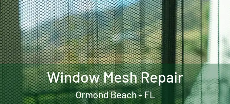  Window Mesh Repair Ormond Beach - FL