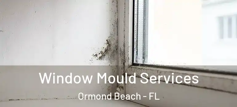  Window Mould Services Ormond Beach - FL