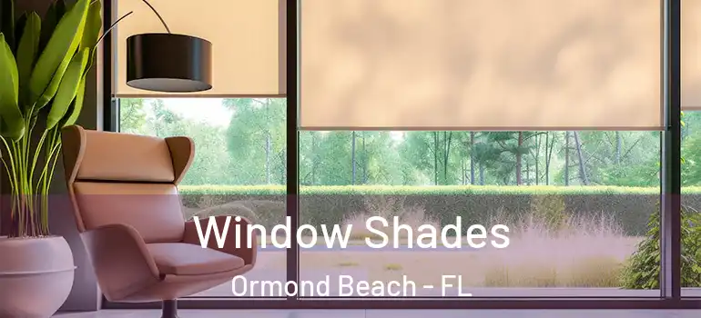  Window Shades Ormond Beach - FL